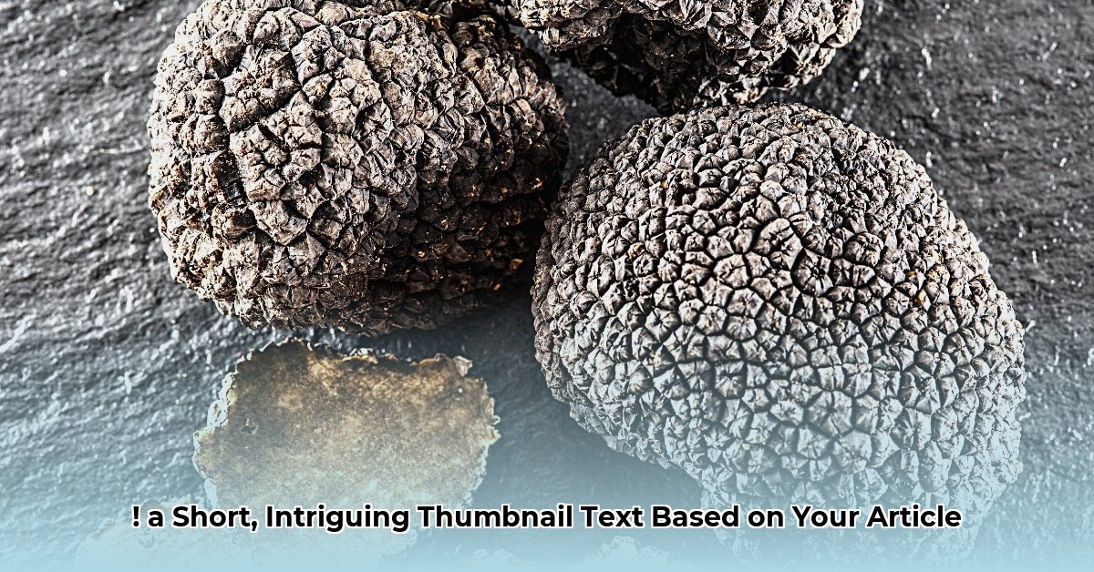 truffle-shuffle-net-worth